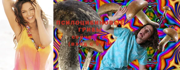 скорость Алексин