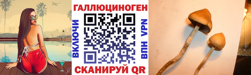 Псилоцибиновые грибы прущие грибы  наркошоп  Любим 