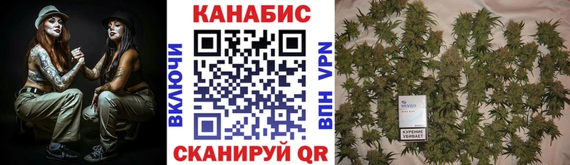 Бошки Шишки план  блэк спрут вход  Любим  купить закладку 